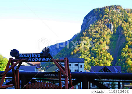 北海道　黒岳　紅葉 119213498