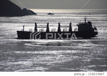 来島海峡大橋より光る燧灘に浮かぶ貨物船を望む 来島海峡大橋より光る燧灘に浮かぶ貨物船を望む 119213667