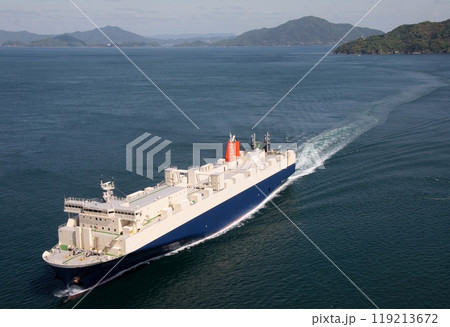 来島海峡大橋を通過するローロー船 来島海峡大橋を通過するローロー船 119213672