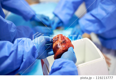 Transplant, surgery and doctors with organ in hospital for medical service, procedure and operation. Healthcare, teamwork and hands with in theater for donation from injury, accident and emergency Transplant, surgery and doctors with organ in hospital for medical service, procedure and operation. Healthcare, teamwork and hands with in theater for donation from injury, accident and emergency 119213777
