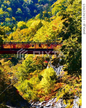 絶景の二見吊り橋 絶景の二見吊り橋 119213915