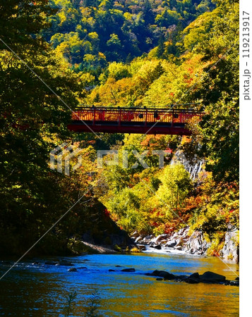 絶景の二見吊り橋 119213917