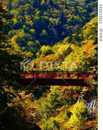絶景の二見吊り橋 119213918