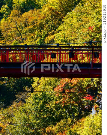 絶景の二見吊り橋 119213919