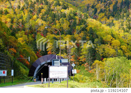 北海道　三国峠　紅葉 119214107