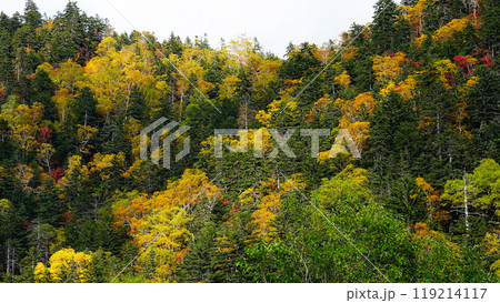 北海道　三国峠　紅葉 119214117