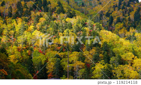 北海道　三国峠　紅葉 119214118