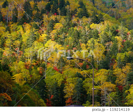 北海道 三国峠 紅葉 北海道 三国峠 紅葉 119214119