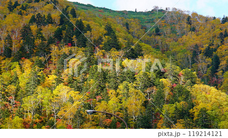 北海道　三国峠　紅葉 119214121