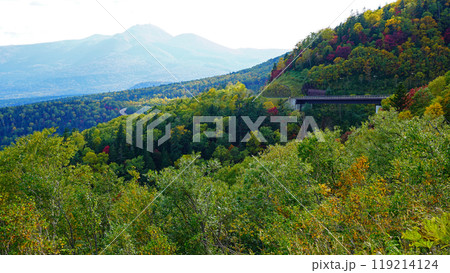 北海道　三国峠　紅葉 119214124
