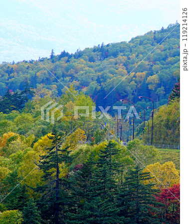 北海道　三国峠　紅葉 119214126