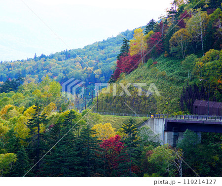 北海道 三国峠 紅葉 北海道 三国峠 紅葉 119214127
