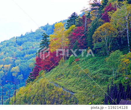 北海道　三国峠　紅葉 119214128