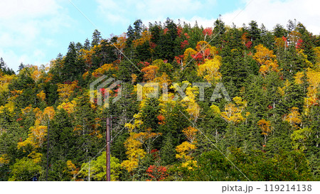 北海道　三国峠　紅葉 119214138