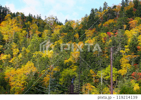 北海道 三国峠 紅葉 北海道 三国峠 紅葉 119214139