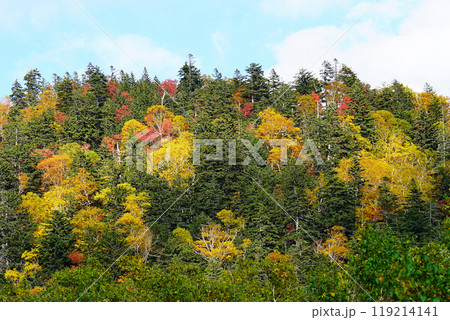 北海道　三国峠　紅葉 119214141