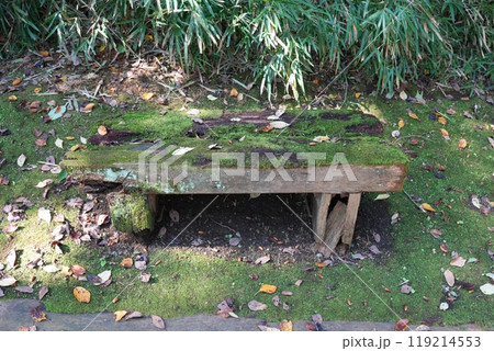 朽ちて苔に覆われたベンチ 朽ちて苔に覆われたベンチ 119214553