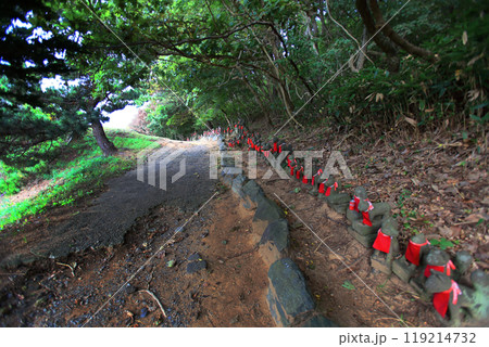 高山稲荷神社　千本鳥居 119214732