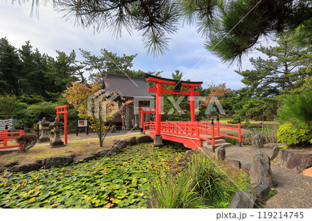 高山稲荷神社 千本鳥居 高山稲荷神社 千本鳥居 119214745