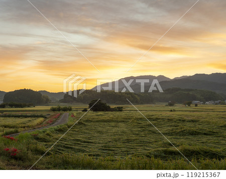 朝焼けの空と彼岸花が咲く明日香村の田園風景 朝焼けの空と彼岸花が咲く明日香村の田園風景 119215367