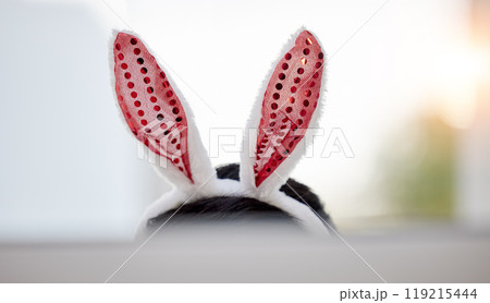 Easter bunny, ears and person at home with computer screen and silly hat for comedy. Celebration, holiday and rabbit with dress up and goofy costume accessory in a house with technology and head 119215444