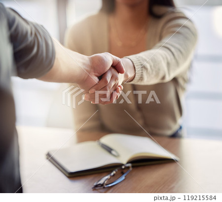 Business people, closeup and handshake in meeting, interview and welcome to b2b partnership, offer promotion or trust. Team, HR negotiation or shaking hands to support deal, onboarding or recruitment Business people, closeup and handshake in meeting, interview and welcome to b2b partnership, offer promotion or trust. Team, HR negotiation or shaking hands to support deal, onboarding or recruitment 119215584