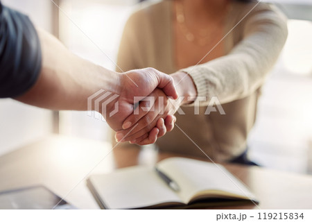 Business people, closeup or shaking hands in meeting, interview or success of b2b partnership, support collaboration or promotion. Team, HR negotiation or handshake of deal, onboarding or recruitment 119215834