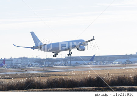 飛行機　到着 119215916