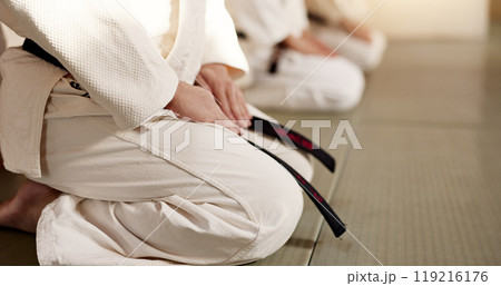 Hands of students, bow or men in dojo to start practice, discipline or self defense education in Japan. Black belt master, people learning respect or ready in fighting class lesson or aikido training Hands of students, bow or men in dojo to start practice, discipline or self defense education in Japan. Black belt master, people learning respect or ready in fighting class lesson or aikido training 119216176