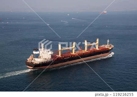 来島海峡大橋を通過し斎灘に向かう大型貨物船 119216255