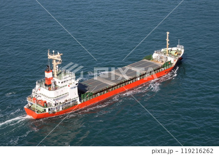 来島海峡大橋を通過し斎灘に向かう貨物船 119216262