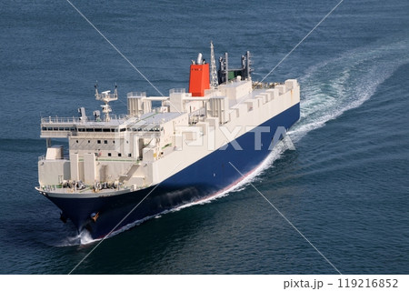 来島海峡大橋に向かってくるローロー船 119216852