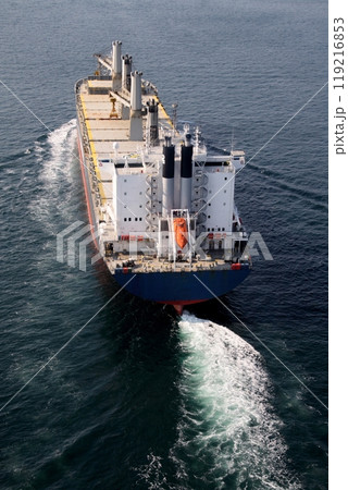 来島海峡大橋を通過する巨大貨物船 119216853