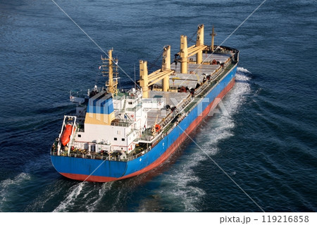 来島海峡大橋を通過し斎灘に向かう大型貨物船 119216858