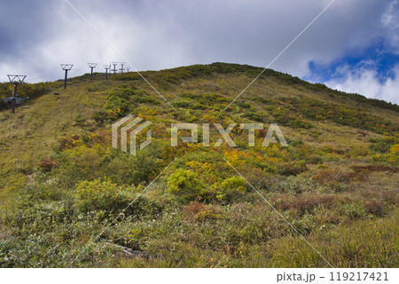 八方尾根自然研究路　美しい黒菱平の紅葉　長野県白馬村 119217421