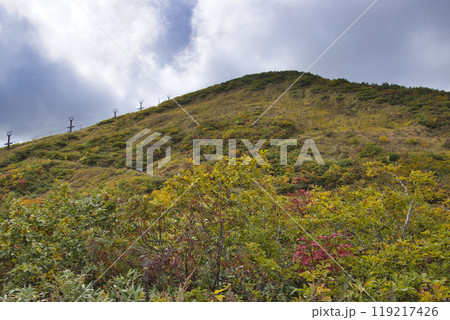 八方尾根自然研究路 美しい黒菱平の紅葉 長野県白馬村 八方尾根自然研究路 美しい黒菱平の紅葉 長野県白馬村 119217426