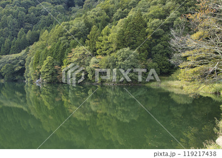美しい紅葉と中綱湖　長野県大町市 119217438
