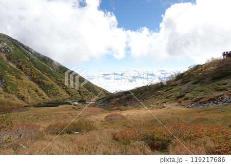 紅葉の千畳敷カール 紅葉の千畳敷カール 119217686