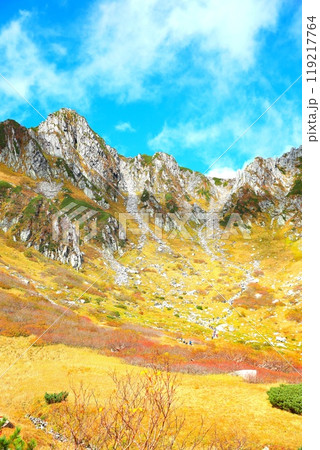 紅葉の千畳敷カール 紅葉の千畳敷カール 119217764
