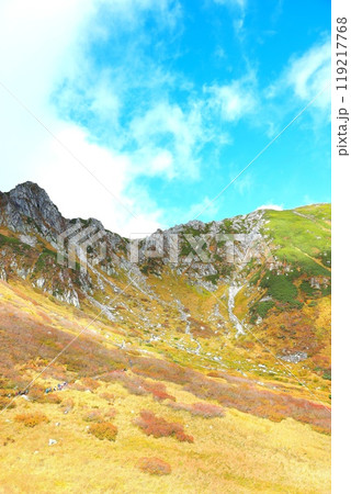 紅葉の千畳敷カール 紅葉の千畳敷カール 119217768