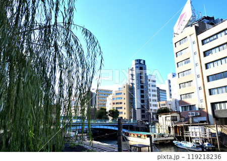 柳越しに見える浅草橋と神田川に停まる屋形船 119218236