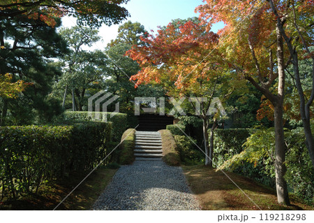 Path in autumn park / 回遊式の和風庭園の紅葉(京都・桂離宮),望遠ズーム Path in autumn park / 回遊式の和風庭園の紅葉(京都・桂離宮),望遠ズーム 119218298