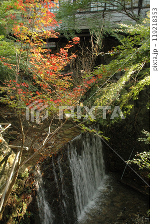 A waterfall in the autumn forest / 秋の紅葉と滝(人工滝) A waterfall in the autumn forest / 秋の紅葉と滝(人工滝) 119218353