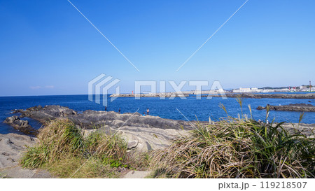 神奈川県の最南端の城ヶ島の秋 119218507