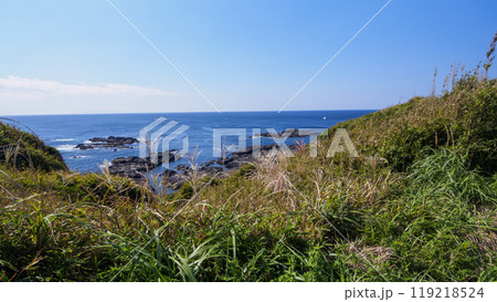 神奈川県の最南端の城ヶ島の秋 119218524