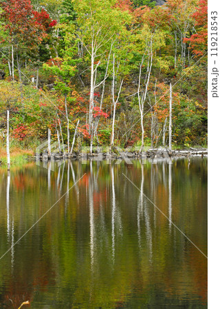 秋の乗鞍高原　まいめの池 119218543