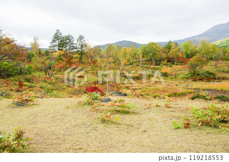 秋の乗鞍高原 119218553