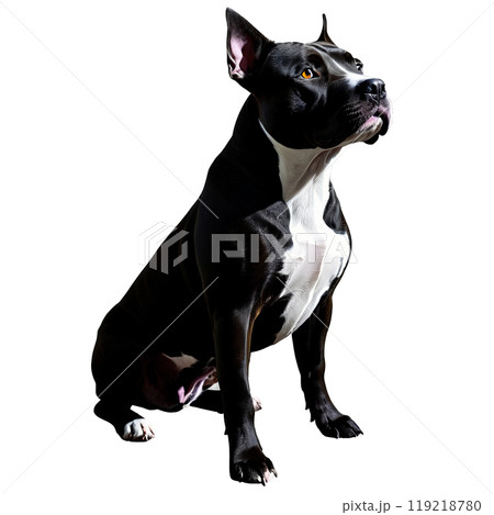 Silhouette of American Pit Bull Terrier Dog isolated on transparent background 119218780