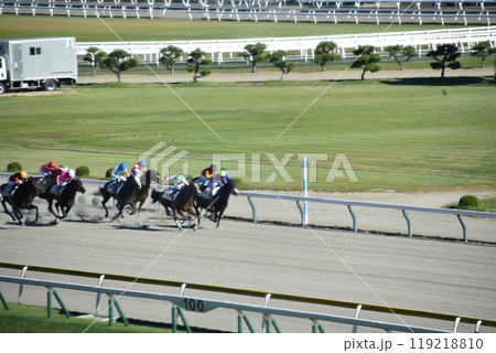 新潟競馬場 新潟競馬場 119218810