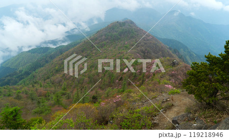 花の百名山のアケボノツツジ 花の百名山のアケボノツツジ 119218946